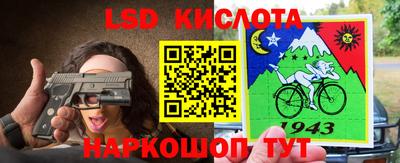 прущие грибы Гусев