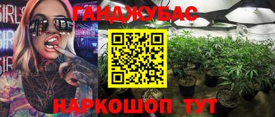 прущие грибы Гусев