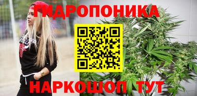 прущие крисы Гусиноозёрск
