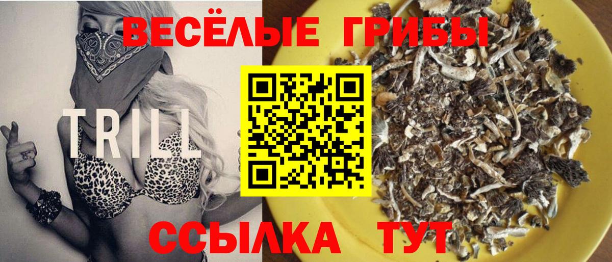 Псилоцибиновые грибы Psilocybine cubensis Калуга