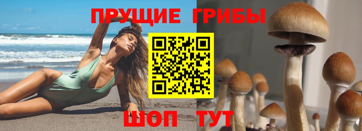 Галлюциногенные грибы ЛСД  Вход с VPN  Калуга  что такое   Псилоцибиновые грибы мухоморы 