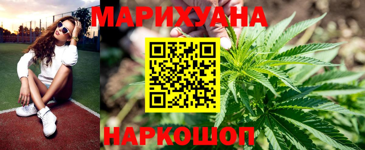 Марихуана сатива Калуга